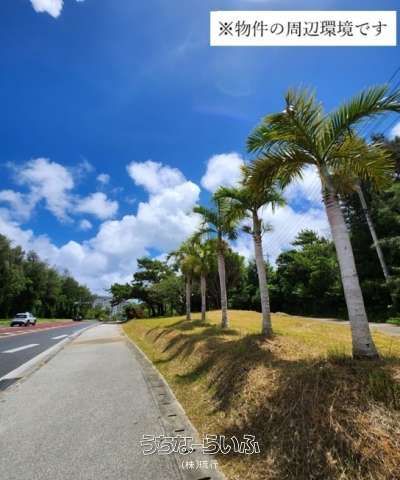Resort Zone Land for Sale in Onna Village, Okinawa - 892.99m² - Thumbnail 4