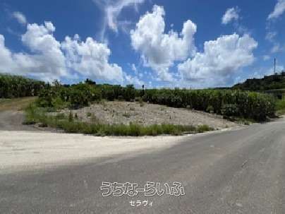 581m² Farmland for Sale in Yaese Town, Okinawa - Thumbnail 3