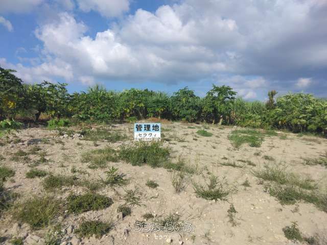 581m² Farmland for Sale in Yaese Town, Okinawa - Thumbnail 4