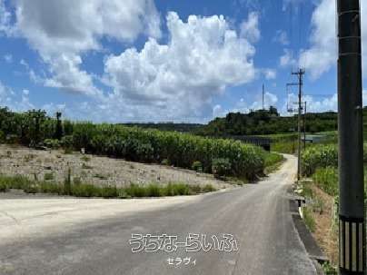 581m² Farmland for Sale in Yaese Town, Okinawa - Thumbnail 2