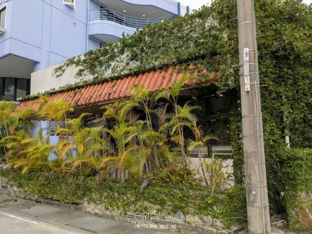 Land for Sale in Onna Village Okinawa with Two Vacant Houses - Thumbnail 2