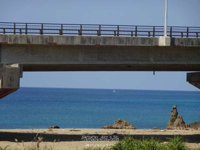 Land for Sale in Ogimi Village, Okinawa - 1625.61 sqm Plot - Thumbnail 2