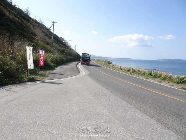 Land for Sale in Ogimi Village, Okinawa - 1625.61 sqm Plot - Thumbnail 3