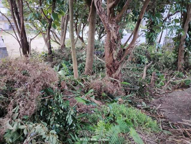 406.71 sqm Land for Sale in Ginowan City, Okinawa - Thumbnail 2