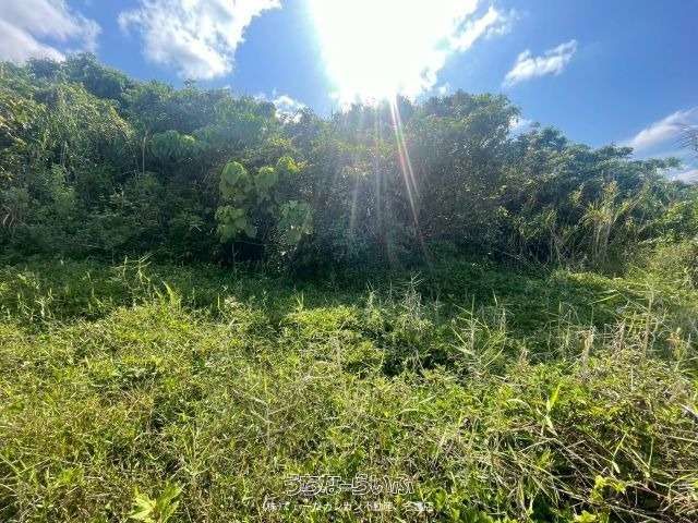 383 sqm Land for Sale in Nakijin Village, Okinawa - Thumbnail 2