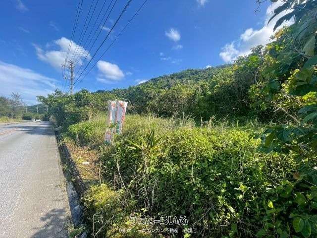 383 sqm Land for Sale in Nakijin Village, Okinawa - Thumbnail 3