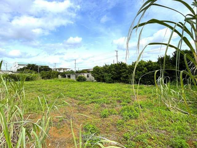 Agricultural Land for Sale in Miyakojima City, Okinawa - Thumbnail 4