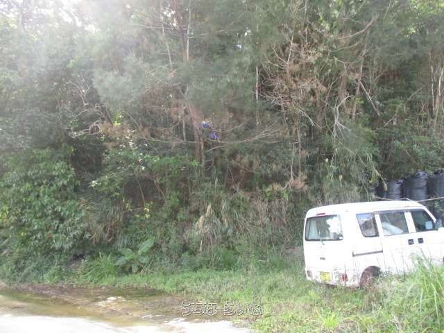 9516 sqm Land for Sale in Onna Village, Okinawa - Thumbnail 4