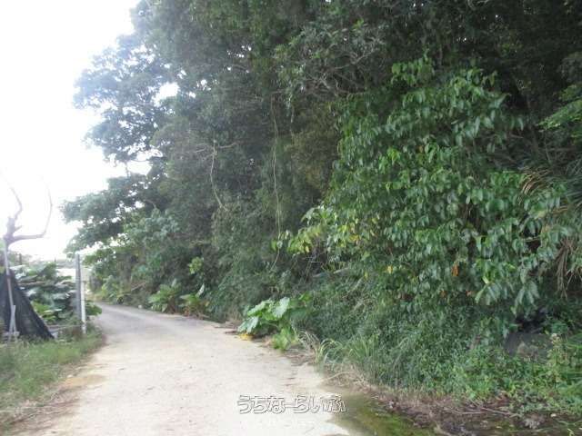 9516 sqm Land for Sale in Onna Village, Okinawa - Thumbnail 3