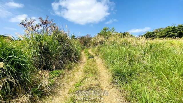 53m² Land Plot for Sale in Kouri, Nakijin Village, Okinawa - Thumbnail 2
