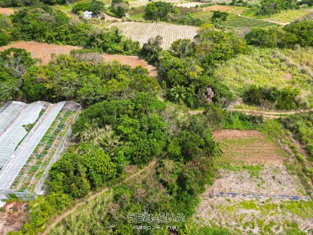 53m² Land Plot for Sale in Kouri, Nakijin Village, Okinawa - Thumbnail 4