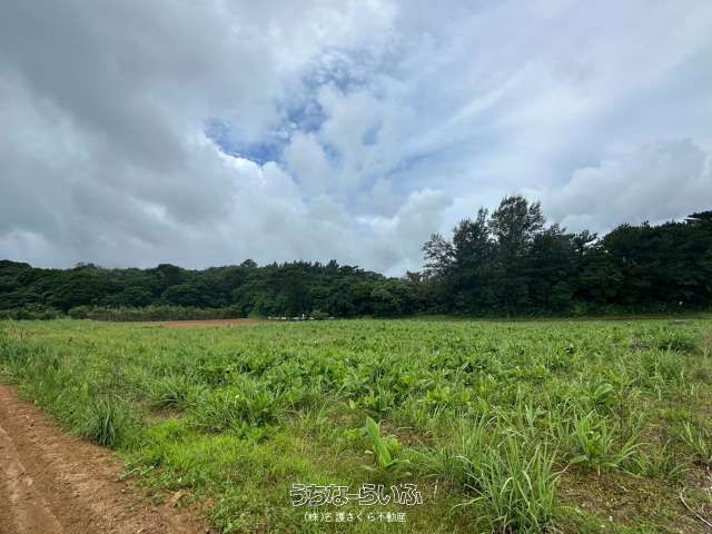3,234 sqm Flat Farmland for Sale in Nago, Okinawa - Image 1