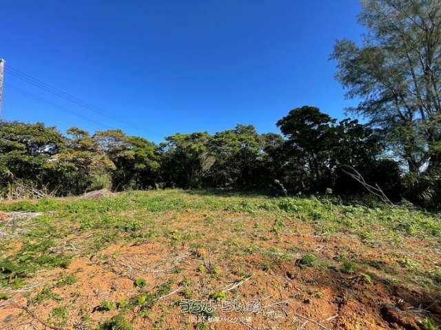 992 sqm Development Land in Ginowan Village, Okinawa - Thumbnail 3