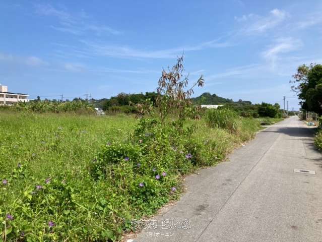 8876 sqm Development Land for Sale in Uruma City, Okinawa - Thumbnail 4