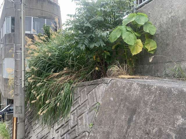 Rental Land in Naha, Shurisakiyama-cho | 25.45m² | 100,000 Yen - Thumbnail 4