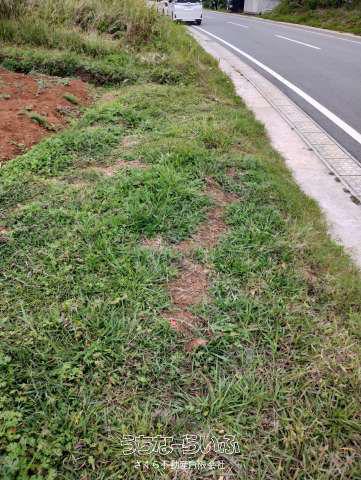 196m² Commercial Land Plot in Sesoko, Motobu-cho, Okinawa — Land, Motobu, Okinawa