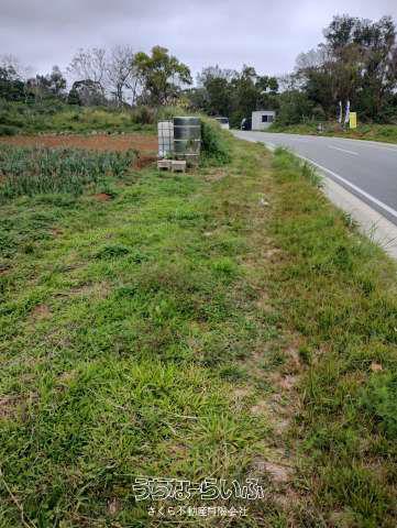 196m² Commercial Land Plot in Sesoko, Motobu-cho, Okinawa — Land, Motobu, Okinawa