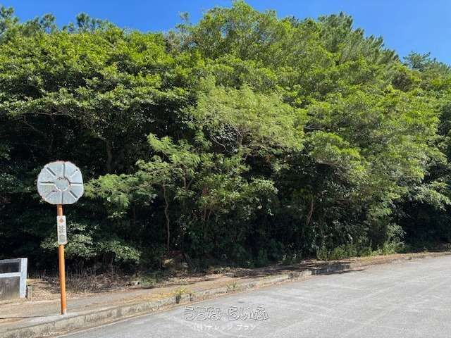 Forest Land for Sale in Nago, Okinawa - Solar Power & Campsite Potential - Thumbnail 2