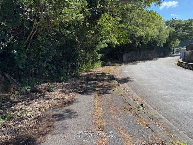 Forest Land for Sale in Nago, Okinawa - Solar Power & Campsite Potential - Thumbnail 3