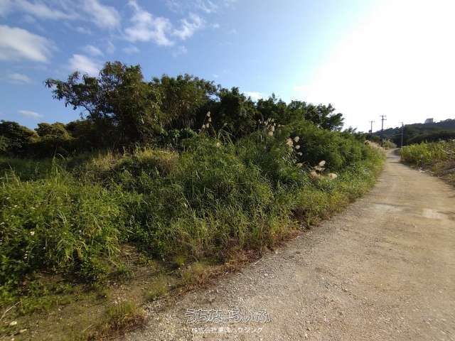 917㎡ Agricultural Land for Sale in Yaese Town, Okinawa - Thumbnail 3