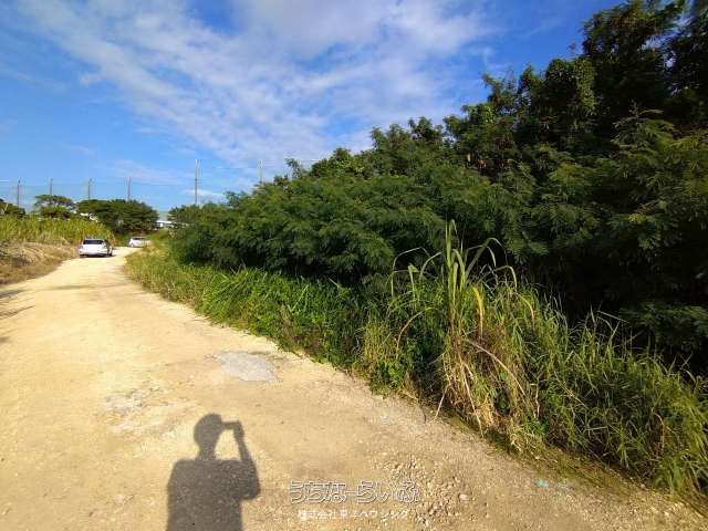 917㎡ Agricultural Land for Sale in Yaese Town, Okinawa - Thumbnail 4
