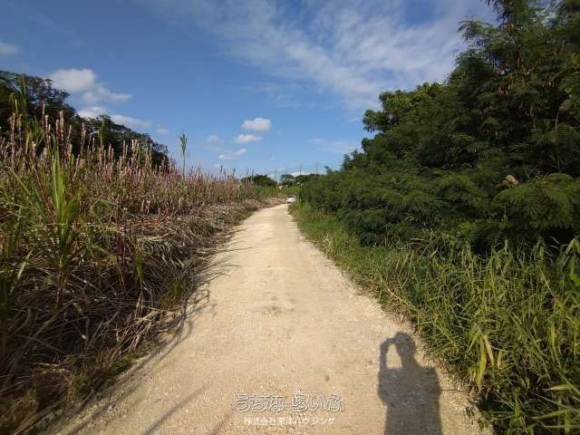 917㎡ Agricultural Land for Sale in Yaese Town, Okinawa - Thumbnail 2