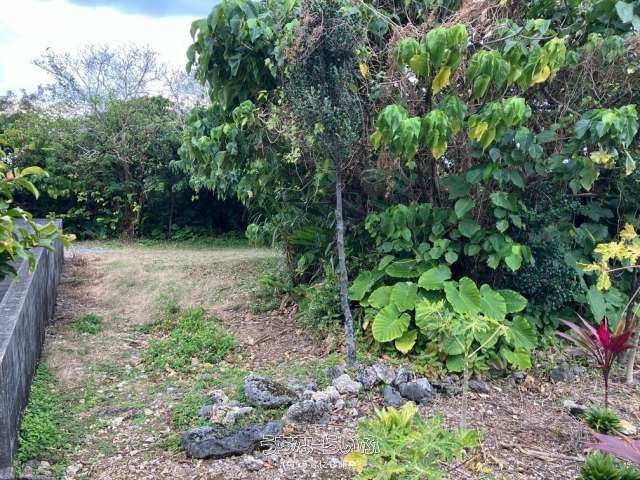 94 Tsubo Land for Sale in Yomitan Village, Okinawa - Cemetery/Storage Use - Thumbnail 4