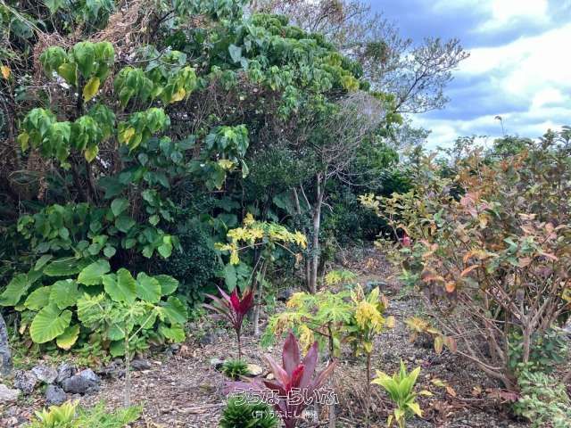 94 Tsubo Land for Sale in Yomitan Village, Okinawa - Cemetery/Storage Use - Thumbnail 2