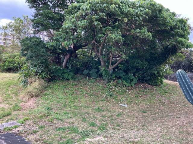 94 Tsubo Land for Sale in Yomitan Village, Okinawa - Cemetery/Storage Use - Thumbnail 3