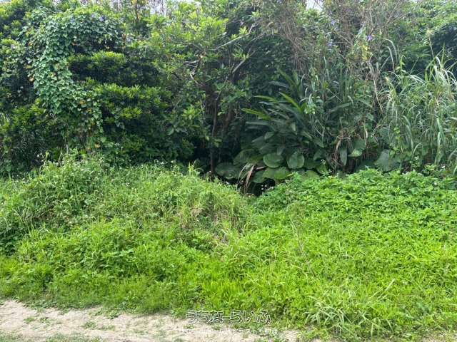 541m² Land Plot for Sale in Yonabaru, Okinawa | Development Potential - Thumbnail 2