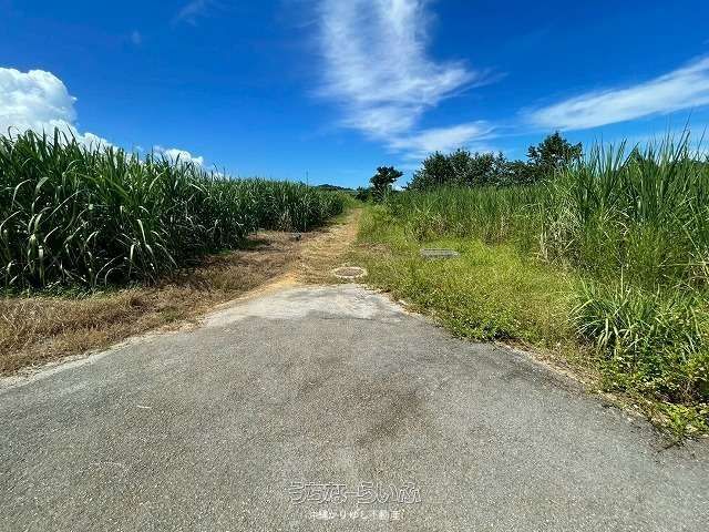 1905㎡ Agricultural Land for Sale in Nago City, Okinawa - Thumbnail 2