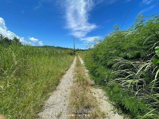 1905㎡ Agricultural Land for Sale in Nago City, Okinawa - Thumbnail 4