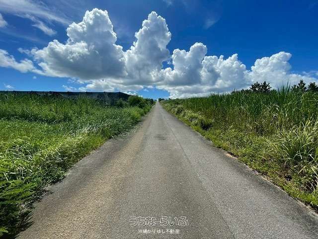 1905㎡ Agricultural Land for Sale in Nago City, Okinawa - Image 1