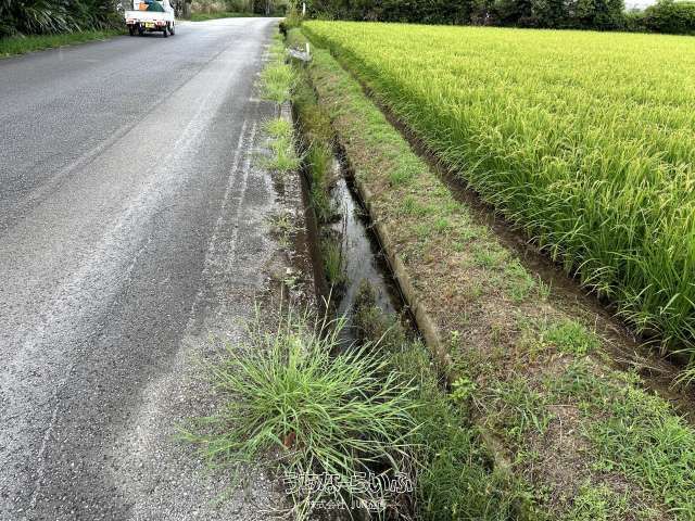 Agricultural Land for Sale in Nago City, Okinawa - 1732 sqm - Thumbnail 3