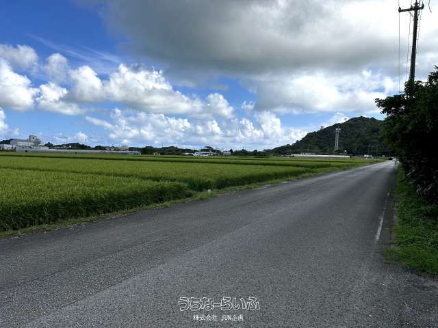 Agricultural Land for Sale in Nago City, Okinawa - 1732 sqm - Thumbnail 2