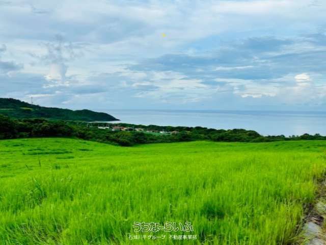 25,633 sqm Land for Sale in Ishigaki with Pacific Ocean Views - Thumbnail 2