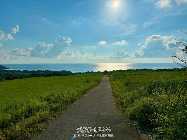 25,633 sqm Land for Sale in Ishigaki with Pacific Ocean Views - Thumbnail 3