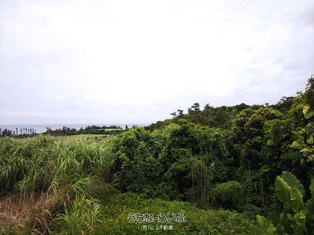 Ocean View Land for Villa in Onna Village, Okinawa - Thumbnail 2