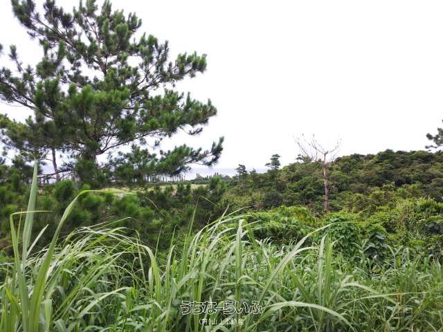 Ocean View Land for Villa in Onna Village, Okinawa - Thumbnail 3