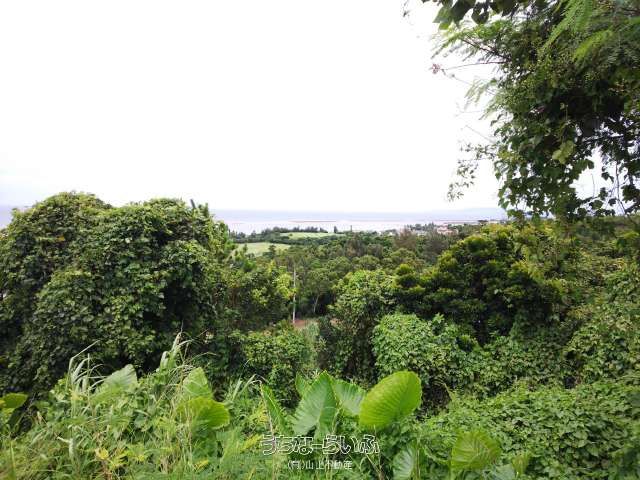 Ocean View Land for Villa in Onna Village, Okinawa - Image 1
