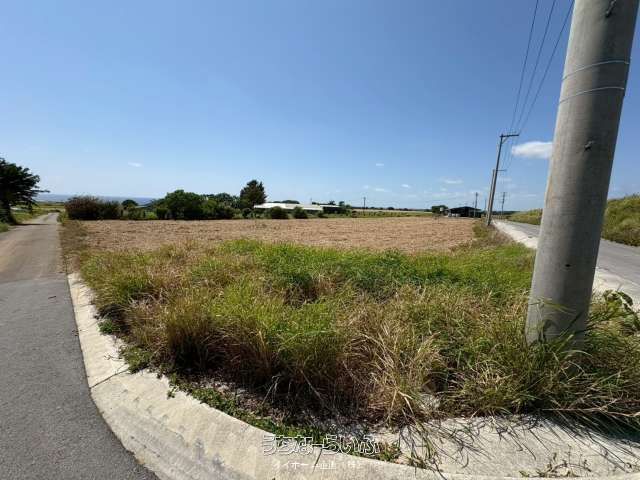 3820 sqm Farmland for Sale in Miyara, Ishigaki City - Thumbnail 2