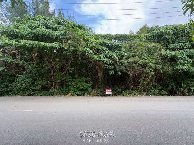 970 Tsubo Land for Sale in Ishigaki's Shinagawa District - Thumbnail 3
