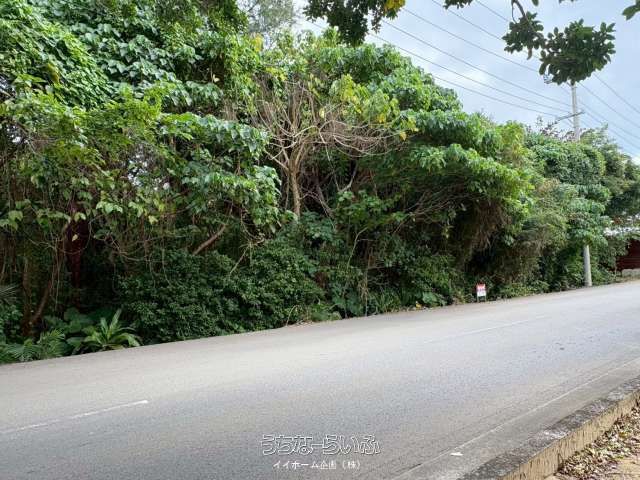 970 Tsubo Land for Sale in Ishigaki's Shinagawa District - Thumbnail 2
