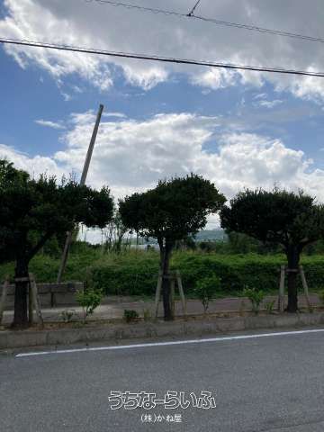 Lease Land in Nakagusuku Village Okinawa - 590.02 sqm Plot - Thumbnail 4