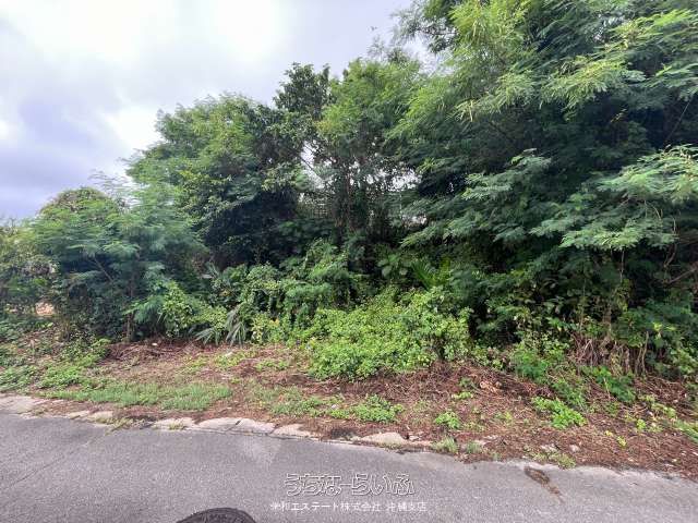 447m² Ocean View Land for Sale in Ginoza, Okinawa - Thumbnail 4
