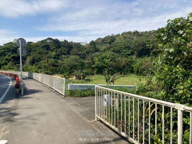 8107 sqm Development Land for Sale in Motobu, Okinawa - Thumbnail 2