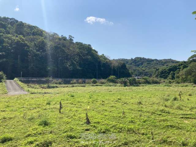 8107 sqm Development Land for Sale in Motobu, Okinawa - Thumbnail 3