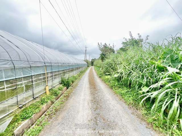 11,399 sqm Agricultural Land for Sale in Nago, Okinawa - Thumbnail 4