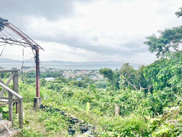11,399 sqm Agricultural Land for Sale in Nago, Okinawa - Thumbnail 2