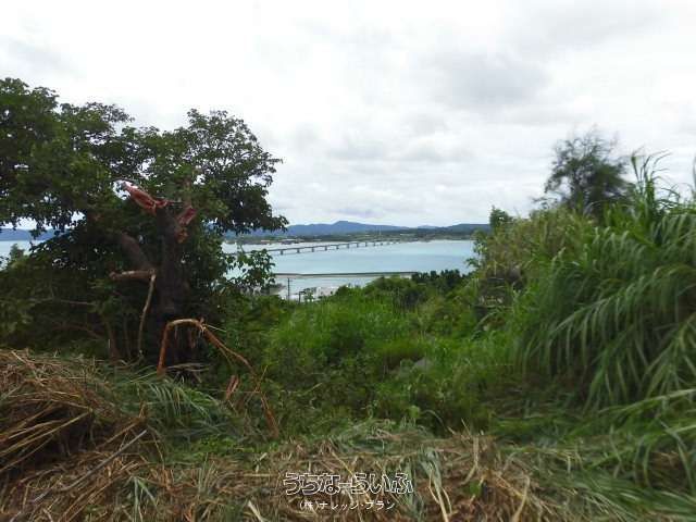 Land for Sale in Kouri, Nakijin Village with Kouri Bridge Views - Thumbnail 4